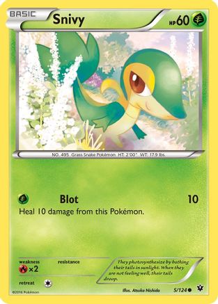 Snivy (005/124) [XY  Fates Collide] Normal - Common