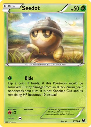 Seedot (009/114) [XY  Steam Siege] Normal - Common