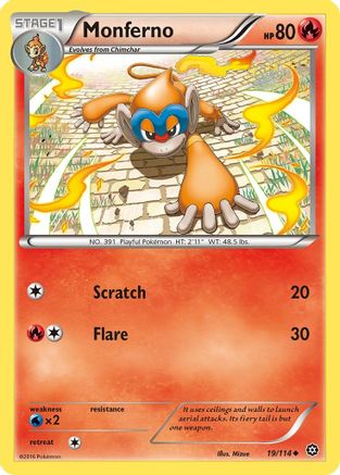 Monferno 019  XY  Steam Siege - Uncommon