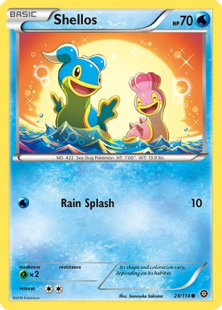 Shellos (028/114) [XY  Steam Siege] Normal - Common