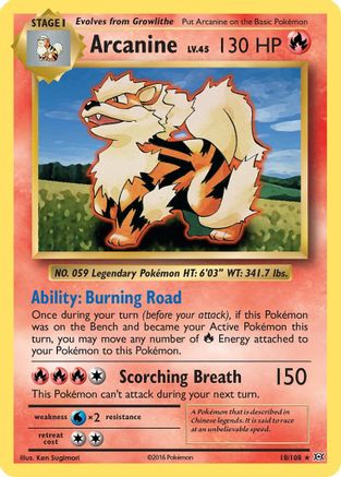Arcanine (018/108) [XY  Evolutions] Normal - Rare