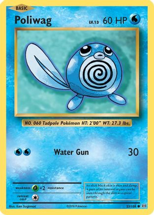 Poliwag (023/108) [XY  Evolutions] Normal - Common