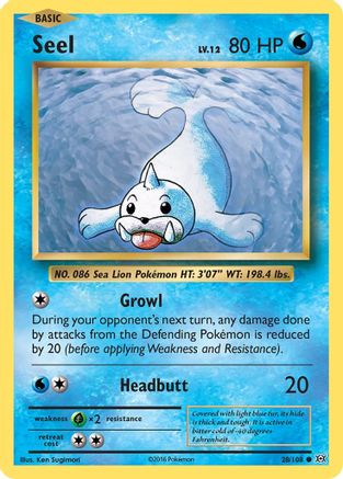 Seel (028/108) [XY  Evolutions] Normal - Common