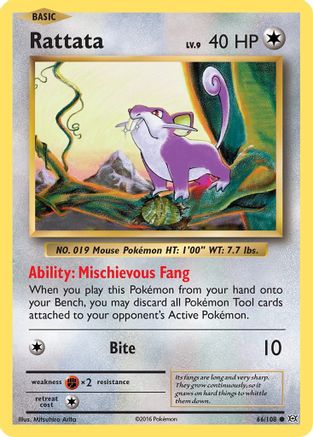 Rattata (066/108) [XY  Evolutions] Normal - Common