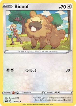 Bidoof (120/172) [SWSH09 Brilliant Stars] Normal - Common
