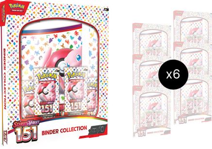 151 Binder Collection Case