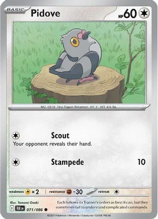 Pidove (071) [SV Black Bolt] Normal - Common