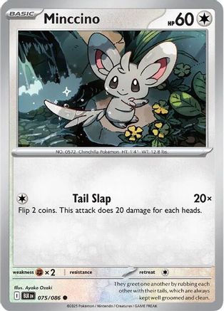 Minccino (075) [SV Black Bolt] Normal - Common