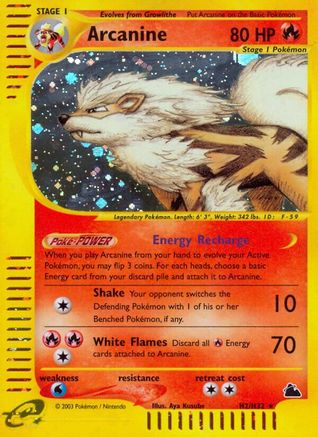 Arcanine (H2) (H2/144) [Skyridge] Holofoil - Holo Rare