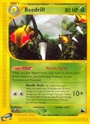 Beedrill (5/144) [Skyridge] Normal - Rare