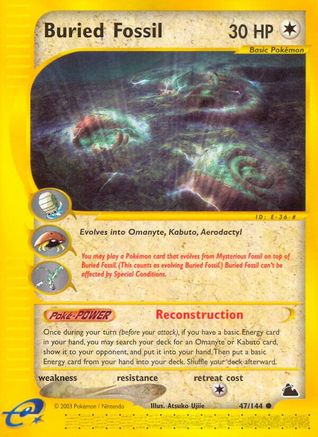 Buried Fossil (47/144) [Skyridge] Normal - Common