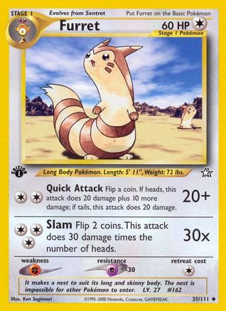 Furret (035/111) [Neo Genesis] 1st Edition - Uncommon