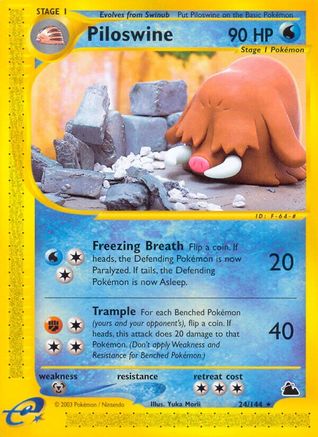 Piloswine (24/144) [Skyridge] Normal - Rare