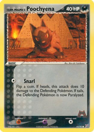 Team Magma's Poochyena (65/95) [Team Magma vs Team Aqua] Normal - Common