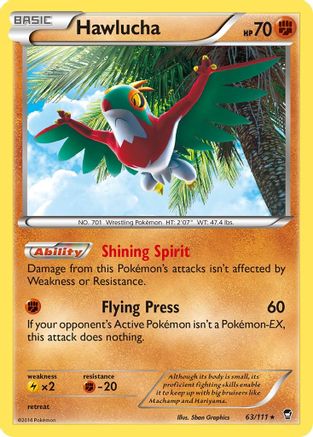 Hawlucha (063/111) [XY  Furious Fists] Reverse Holofoil - Holo Rare