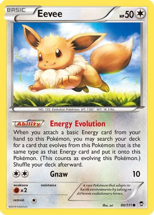 Eevee (080/111) [XY  Furious Fists] Normal - Common