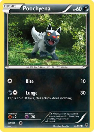 Poochyena (053/119) [XY  Phantom Forces] Normal - Common