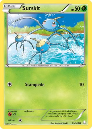 Surskit (13/160) [XY  Primal Clash] Normal - Common