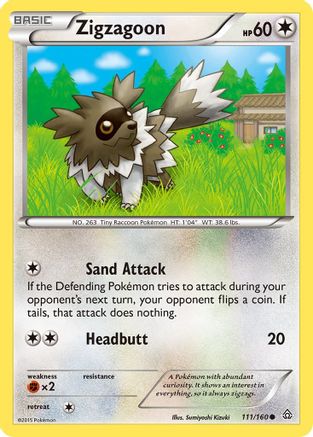 Zigzagoon (111/160) [XY  Primal Clash] Normal - Common