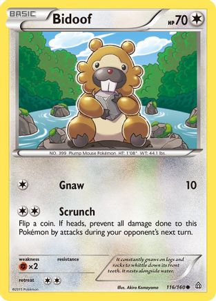 Bidoof (116/160) [XY  Primal Clash] Reverse Holofoil - Common