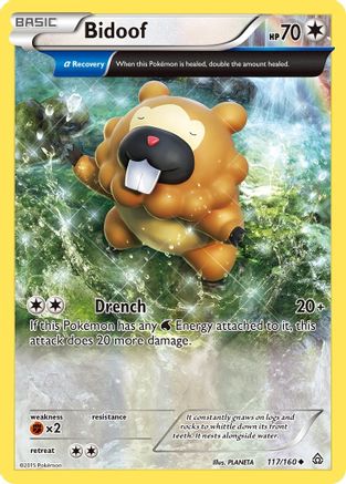 Bidoof (Alpha) (117/160) [XY  Primal Clash] Normal - Uncommon