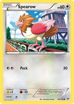 Spearow (065/108) [XY  Roaring Skies] Normal - Common