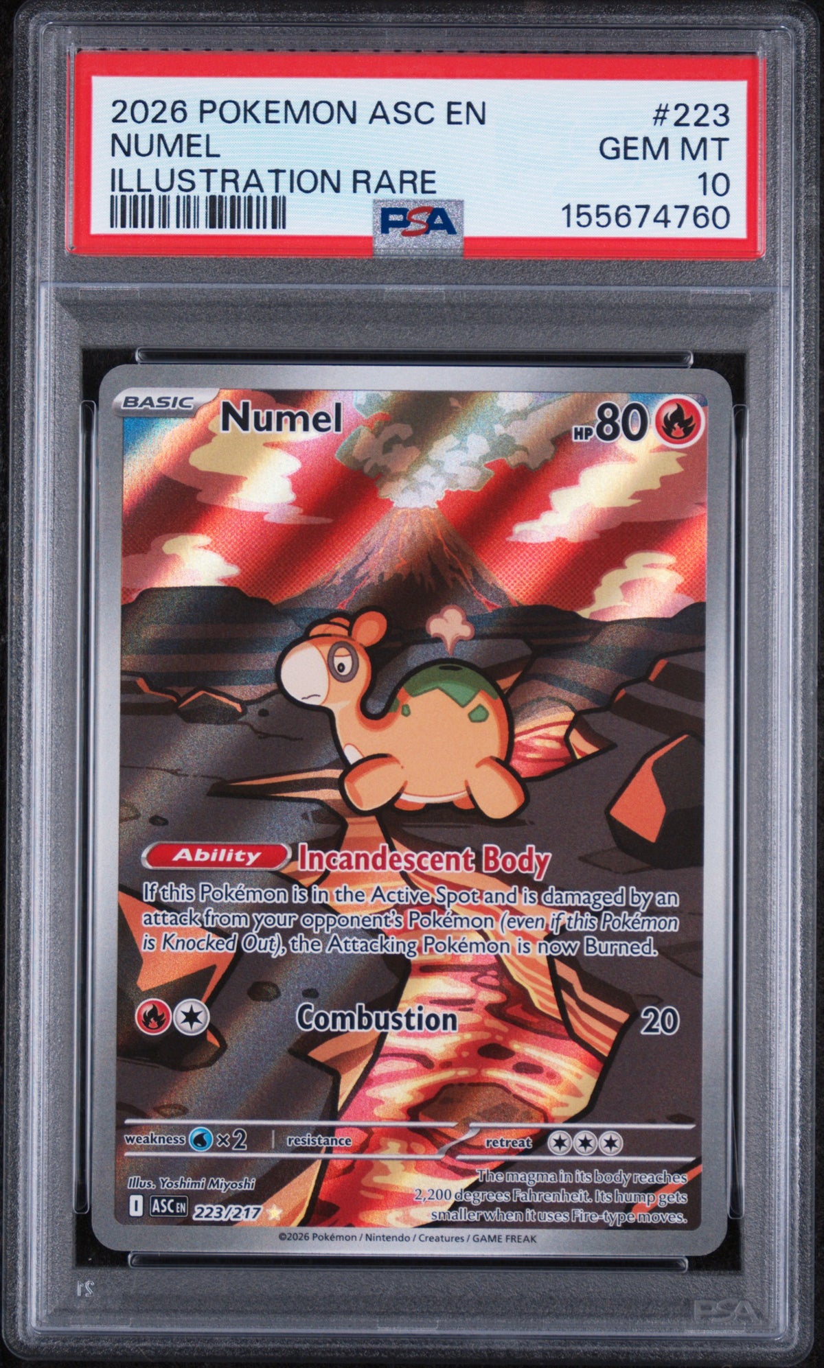 PSA 10 : Numel Ascended Heros