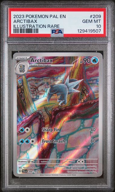 2023 POKEMON PAL EN-PALDEA EVOLVED #209 ARCTIBAX ILLUSTRATION RARE PSA 10